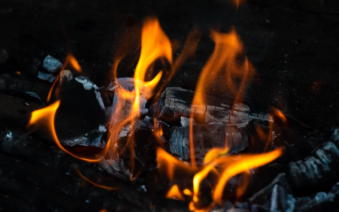 Carvão premium: qual a diferença no churrasco?